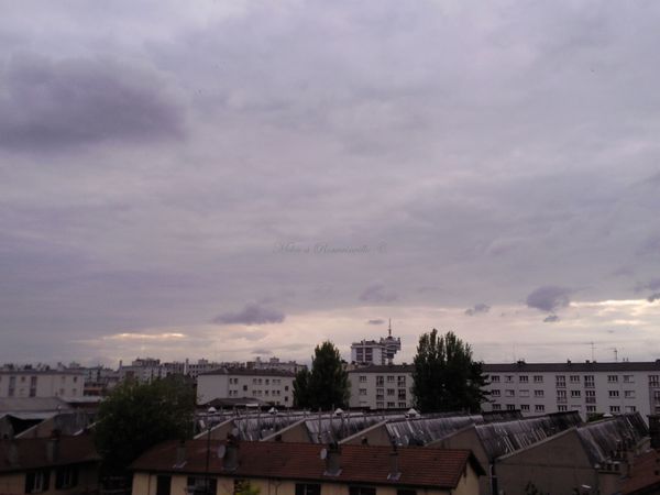 01 05 10 tdf 19h31