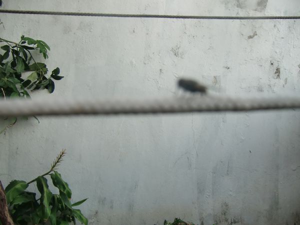 Photo-1274.jpg