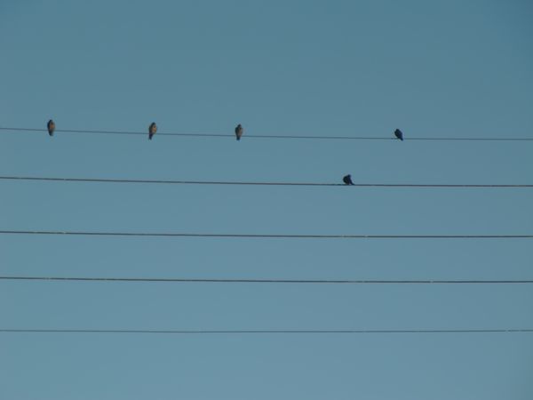 Photo-1355.jpg