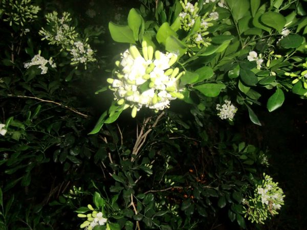 Photo-712.jpg