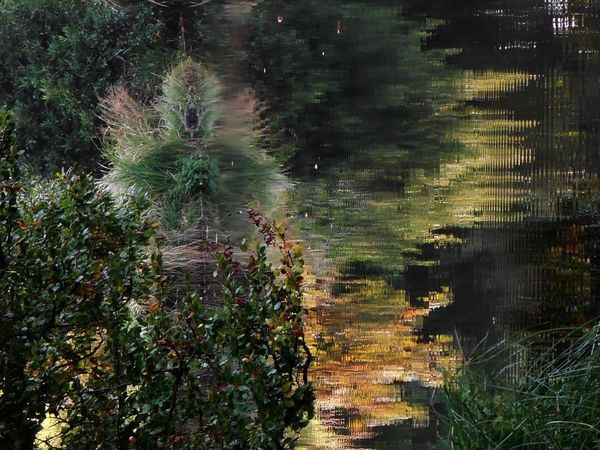 fantasmagorie ou reflet