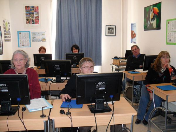 SAM_2291--Copier-.JPG