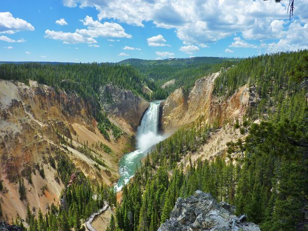 Jour 11 Yellowstone Canyon Lower Falls Lookout