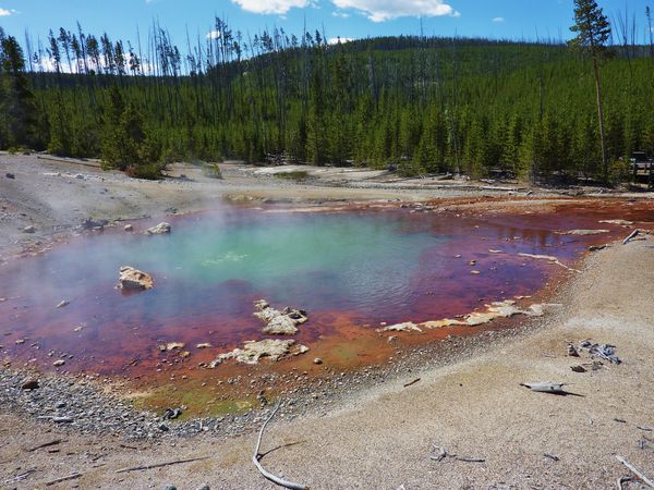 Jour 11 Yellowstone Norris Echinus Geyser