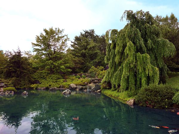 Montréal jardin botanique japonais