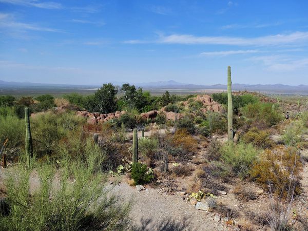 Tucson Sonoran Desert Museum overlook 1b-copie-1