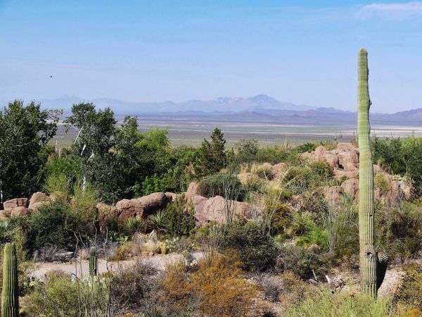 Tucson Sonoran Desert Museum overlook b-copie-2