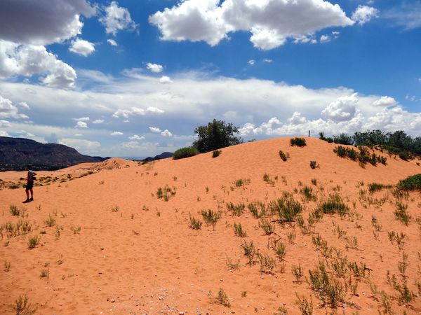 Coral Pink Sand Dunes1