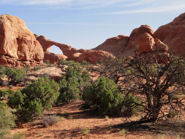 Arches-Park-Skyline-Arch.jpg