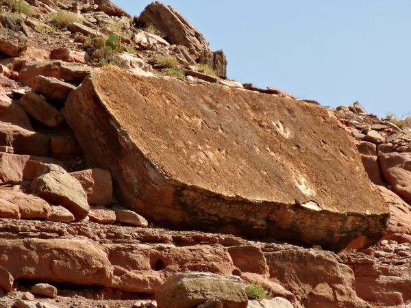 Moab-Potash-Road-Dinosaur-Tracks-b.jpg