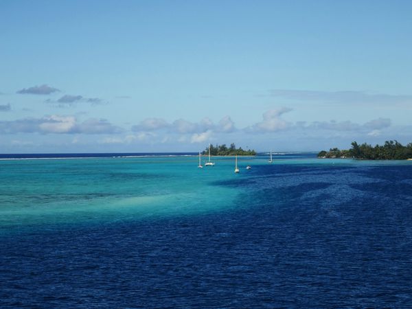 Moorea lagon c