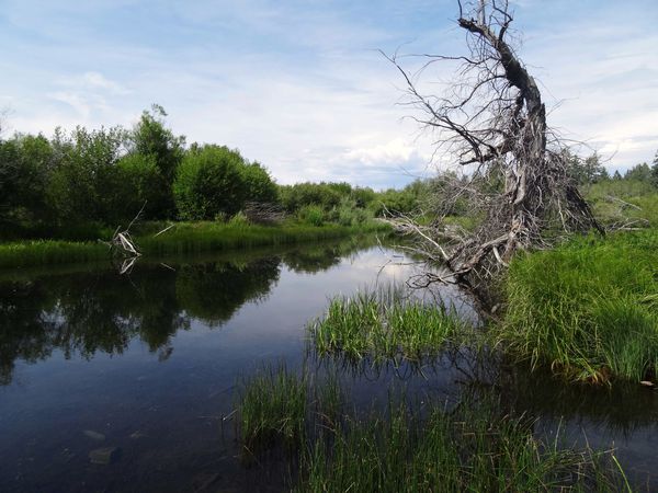 Lac-Tahoe-riviere.jpg