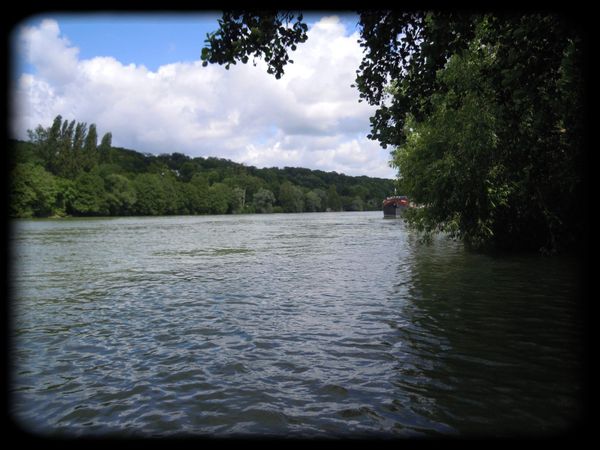 DSCN0029