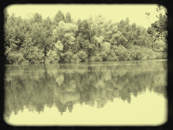 DSCN3900