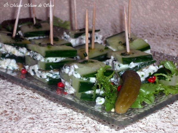 concombre 1