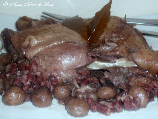 canard braisé au vin 1