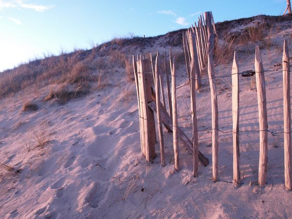entre sable et neige