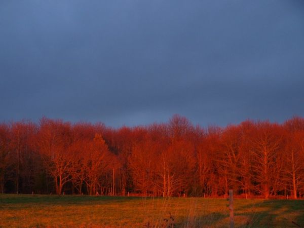 P2152536--800x600-.jpg