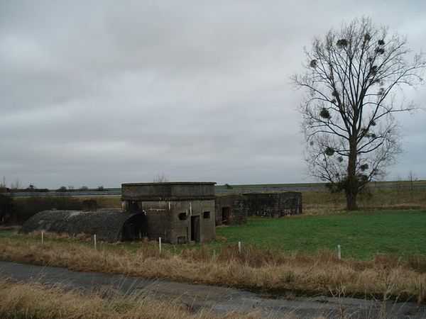DSC05846