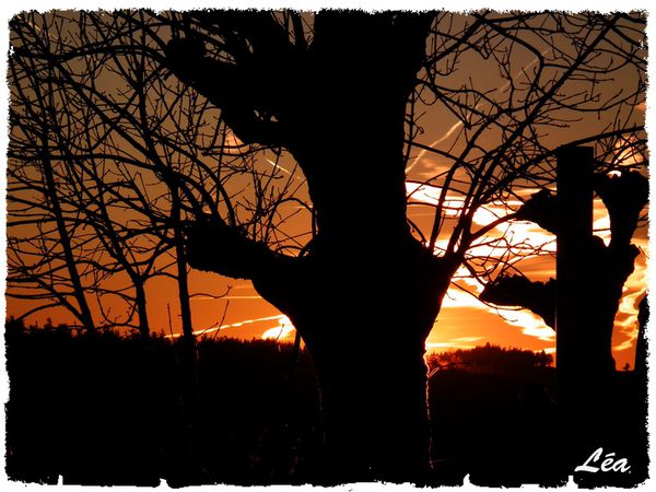 DSCF7791-coucher-de-soleil.jpg