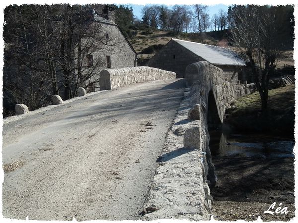 DSCF9048-pigeyres-hautes.jpg