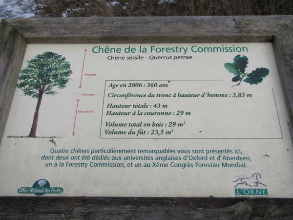 27dec 2009 le perche 101