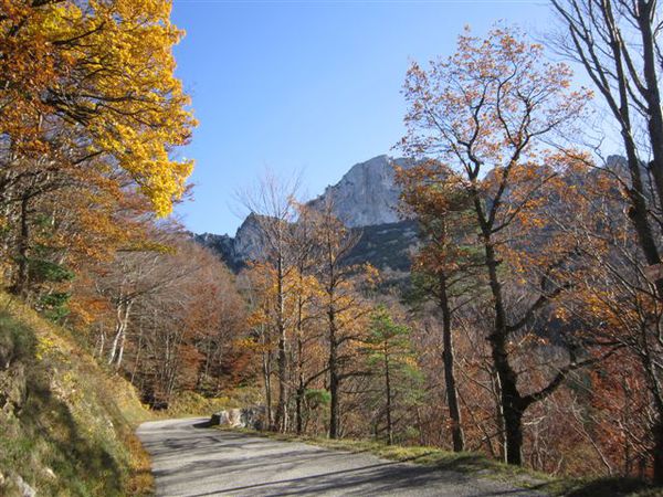 2012-05 9419-tourniol