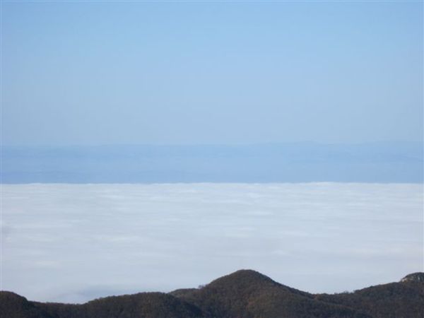 2012-05 9427-tourniol
