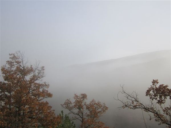 2012-06 0277-brouillard