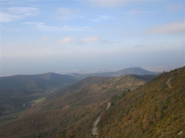 2013-01 0695-combovin