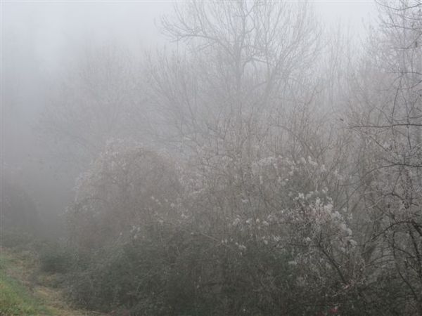 2013-01 0758-givre