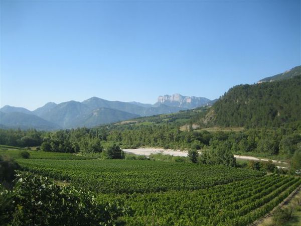 2013-04 0200-pontaix-vignes
