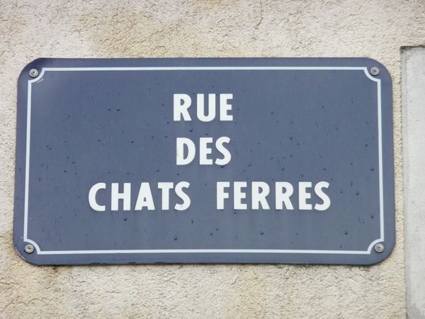 chats ferres