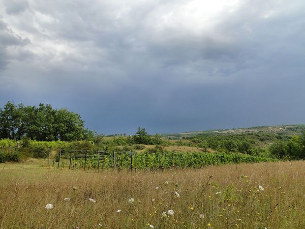 24-8-apres-l-orage.jpg