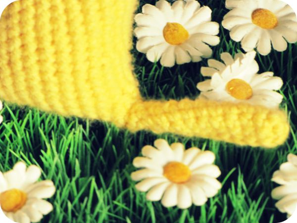 crochet-2011-3661-1.JPG