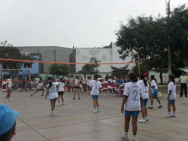 SDC10974