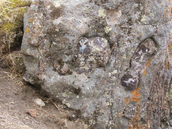 thunder-eggs-in-rock.jpg