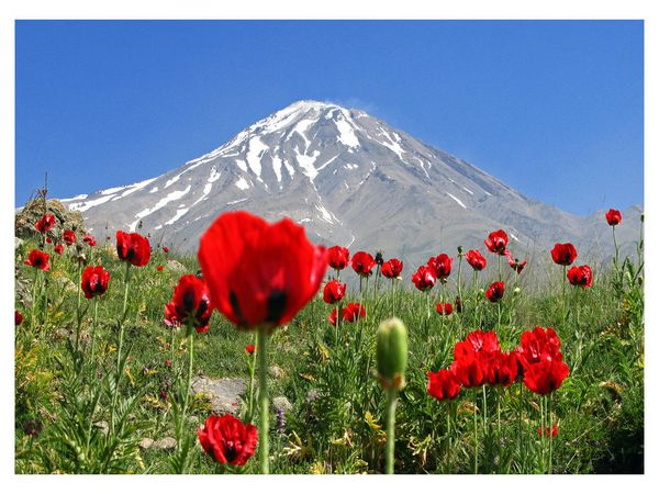 damavand_mountain_Wallpaper_rnryn.jpg