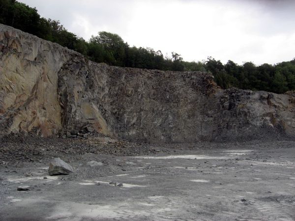 Bierghes-carriere---Fossiles---mineraux.jpg