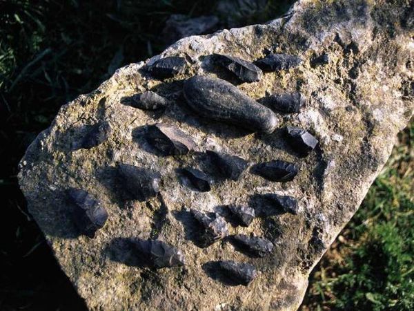 instruments obsidienne - villasantantonio