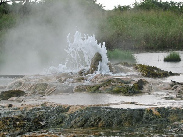 Buranga - Mumbuga erupting spring, Sempaya Hot Springs.