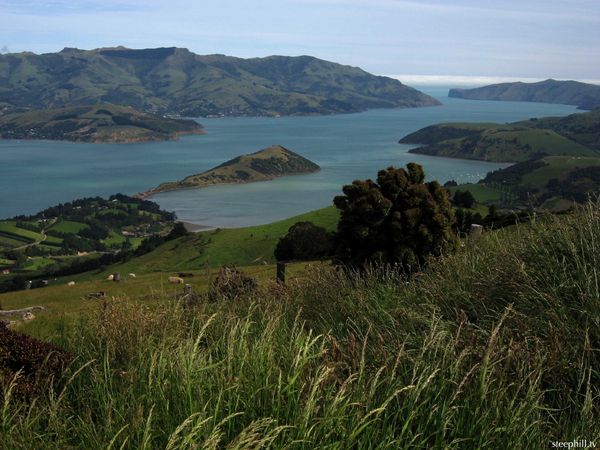 Akaroa Harbour was created when the crater flooded as the v