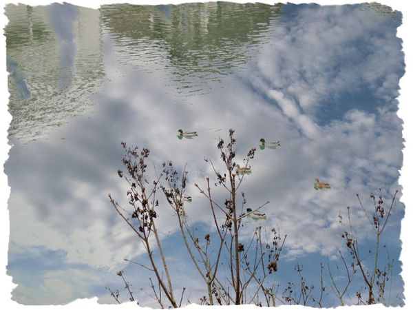 doulcon et ciel redim04