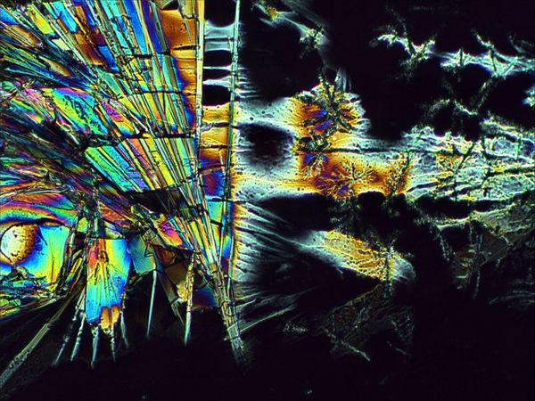 carbonate 05