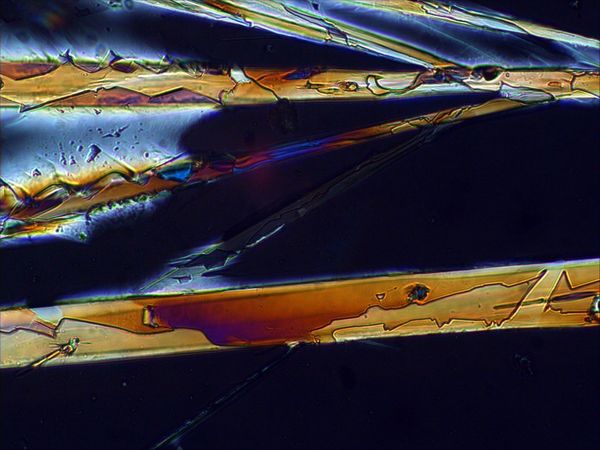 carbonate 13