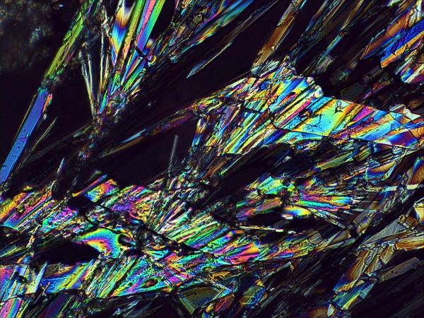 carbonate 16