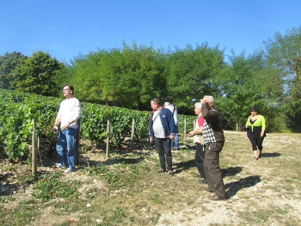 16.09.12 vendanges 016