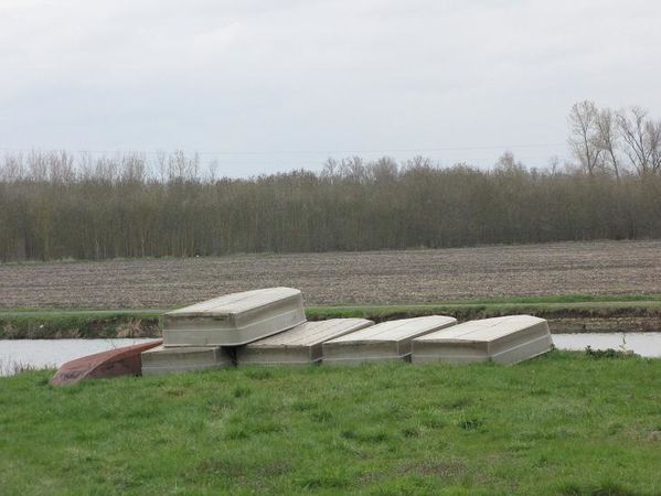 N9-4323.JPG