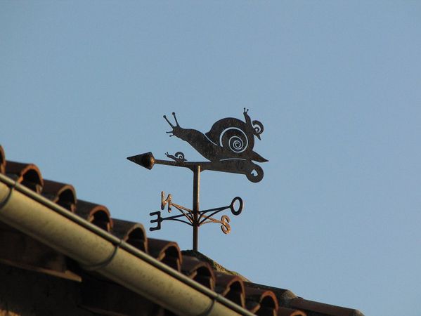 la-charente---026.JPG