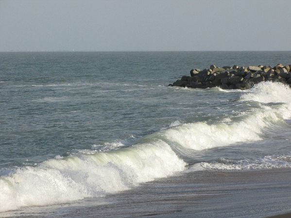 oleron--119.JPG